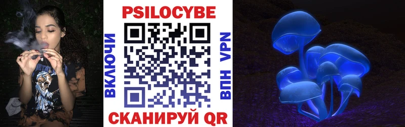 продажа наркотиков  Новосибирск  Псилоцибиновые грибы прущие грибы 